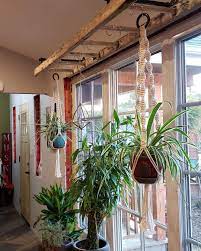 With drywall, use a toggle screw. Old Ladder To Hang Plants From Credit Shilah Smith Hanging Plants Plant Decor Plant Decor Indoor