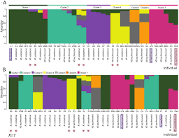 Image result for Memecylon incisilobum