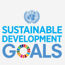 His publication sustainable development goals: Sustainable Development Goals Sdgs Migration Data Portal
