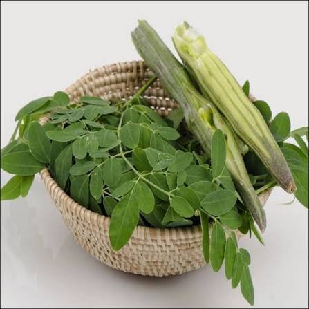 Chùm ngây là gì, ăn sống được không? Phân biệt cây chùm ngây và bồ ngót