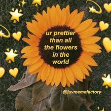 Tag The Flower In Ur Life Tag Comment Share Credi Wholesome Memes Cute Memes Crush Memes