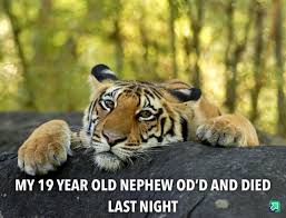 An element of a culture or system of behavior that may be considered to be passed. I M Devastated Album On Imgur