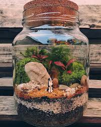Epingle Sur Plantations Miniatures