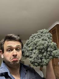 🥦🥦🥦HE HAS DONE IT AGAIN!!🥦🥦🥦 ABC Wimmera rural reporter, Angus Verley  has grown brocolli the size of his head! How big are your brassicas this  season?