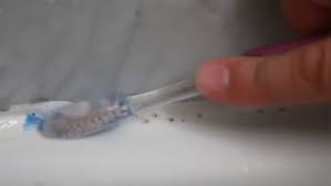 This guide shows you how to remove ketchup from a carpetwatch this and other related films here: How To Remove Ketchup Stains From Clothing Furniture And Carpets
