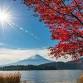 Tokyo Whisky Tasting: Hakushu & Mt Fuji Views event image