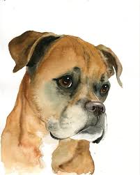 Cute dog with toy by anca pora. Custom Pet Portrait Custom Boxer Painting Watercolor Pet Painting Custom Dog Painting Multiple Pet Water Color Pet Portrait Pet Supplies Pet Portraits 330 Co Il