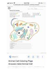 Color a typical animal cell according to the directions to learn the main structures and organelles found in the cell. Animal Cell Coloring Animal Cell Coloring Name I Directions Color Each Part Of The Cell Its Designated Color Cell Membrane Light Brown Nucleolus Black Course Hero