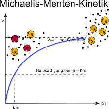 You can also manipulate, traverse, and in some ways simulate runtime given the output. Kompetetive Hemmung Stoffwechsel Online Kurse