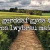 Wales has it's own language. Https Encrypted Tbn0 Gstatic Com Images Q Tbn And9gctedrjest1smrmyoskbffzllstqjiktq43y85o7rwdh Lgzfcnv Usqp Cau