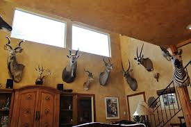 Jun 12, 2021 · returnal patch 1.4.0 will make trophy hunting less frustrating, patch notes released. Safari Life Taxidermy Preserving Africa Through Artistry