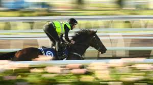 Which horse was first to win the melbourne cup? Melbourne Cup 2021 All You Need To Know About The Race That Stops Two Nations Stuff Co Nz