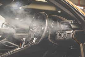 Fumigating the car is a principle ethic on how to get rid of roaches. Don T Just Clean Your Car Sanitise It Carsifu