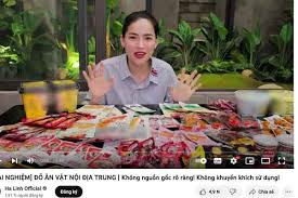 Võ Hà Linh đăng tải video sử dụng đồ không rõ nguồn gốc trên Youtube | Tin  tức Online