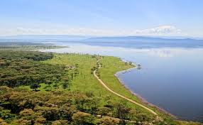 During the colonial period, nakuru was a centre of european activity. Lake Nakuru Wikipedia