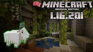 Minecraft now launches again on all windows 10 devices. Download Minecraft Pocket Edition 1 16 201 01 Caves Cliffs Full Version