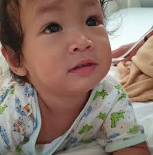 Bukidnon Ornamental Plants Collectors and Gardeners