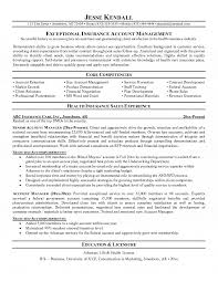 Relevant corporate account management experience: Insurance Account Manager Resume