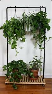 Maybe you would like to learn more about one of these? Diy Plant Room Divider Room With Plants Plants Plant Decor Indoor