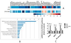 Image result for tbn:iAL9P1fP6VbKpM::loschicosdeclase.nireblog.com/blogs/loschicosdeclase/files/ecala.jpg
