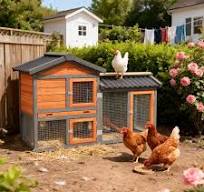 Las mejores ofertas en Chicken Run Patio suministros para ...