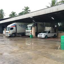 ชาวบ้านแห่ดูต้นมะพร้าวออกยอดมา 4 ยอด คล้ายเศียรพญานาค เจ้าของที่เผยฝันว่ามีคนมาแห่ดู ก่อนจากไปตะโกนบอก อย่าลืม 195 เด้อ à¸£ à¸šà¸‹ à¸­à¹à¸¥à¸°à¸ˆà¸³à¸«à¸™ à¸²à¸¢à¸¡à¸°à¸žà¸£ à¸²à¸§à¸¥ à¸ à¸¡à¸°à¸žà¸£ à¸²à¸§à¸‚à¸²à¸§ à¸™ à¸³à¸¡à¸°à¸žà¸£ à¸²à¸§ à¸– à¸²à¸™à¸à¸°à¸¥à¸² Home Facebook