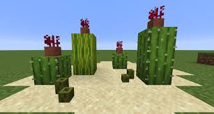 In minecraft, a cactus is an item that you can not make with a crafting table or furnace. You Can Use Potted Crimson Roots To Make Cactus Fruits Detailcraft Minecraft Designs Minecraft Projects Minecraft Blueprints