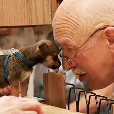 Love Dr Pol Animal Tv Natural Pet Care The Great Doctor
