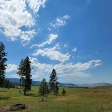 Profile for D.King Photography