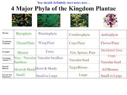 Kingdom Plantae Life On Land Requires Adaptations For Water