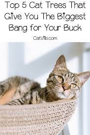 Pin On Pets