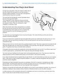 Calameo Understanding Your Dogs Anal Gland