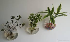 We did not find results for: 6 Pack Of 2 Wall Bubble Terrarium Wall Hanging Glass Planters For Air Plants Diy Gift