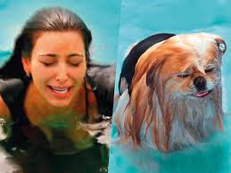 Kim Kardashian Drybar And The Marketing Of Secret Life Of Pets 2 Hollywood Gulf News 33 kim kardashian stock video clips in 4k and hd for creative projects.