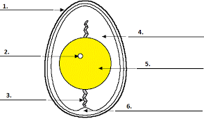 We did not find results for: Ielts Reading Diagram Completion Practice
