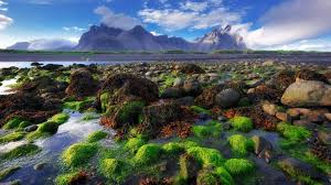 Windows spotlight quiz has a lot of benefits. Famous Grass Hills Near Stokksnes Mountains Iceland 71d48a2ab6ad4688136706564ce93e1d Iceland Natural Landmarks Mountains