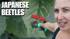 Taking Care of a BAD Mealybug Infestation! 😝🤦‍♀️ // Garden Answer