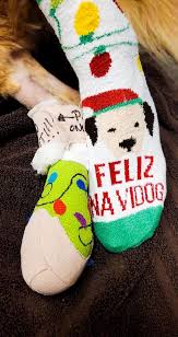 Amici pet hospital is your local veterinarian in san diego serving all of your needs. San Diego Bay Animal Hospital Home Facebook