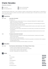 best resume format for a professional