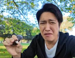 Japansk turist i Danmark som prøver Toms chokolade skildpadder 😆