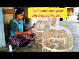 Sangkar dari bambu ini menggunakan laci atau slorokan dobel. Membuat Sangkar Burung Perkutut Di Sanggraagung Socah Bangkalan Litetube