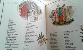 Скачать книгу «language of flowers», автор kate greenaway на русском языке Carmen Y Amig S El Lenguaje De Las Flores Con Ilustraciones De Kate Greenaway