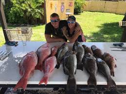 Miss Virginia Deep Sea Fishing Pozicovna Lodi Tarpon Springs Florida 1 Recenzia 111 Fotiek Facebook