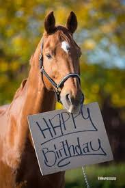 We did not find results for: Happy Birthday Horse Beach Quotes 324 Best Birthday Wishes For Him Images In 2020 Birthday Wishes Dogtrainingobedienceschool Com
