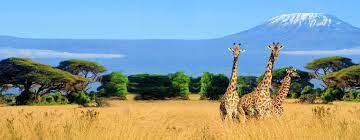Die bevölkerung ist eine große und bunte mischung aus. Kenia Urlaub Gunstige Reisen Bei Fti