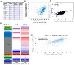 Overexpression Of Muc1 Predicts Poor Prognosis In Patients