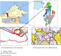 Sabah forest industries (sfi), malaysia, a subsidiary of ballarpur industries limited (bilt) and part of the us$ 4 bn avantha forestry district licensee forest reserve no. Pdf The Comparison Of Birds Population In Two Years And Eight Years Old Acacia Mangium Plantation At Sabah Forest Industries Sfi Sipitang Semantic Scholar