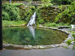 Natural Spring Pond The Trout Pond Was Stocked With Trout For Many Years The Park Service Aquaponics Aquaponics System Pond