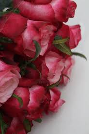 Maybe you would like to learn more about one of these? Mr Fresh Wholesale Flowers ä¸»é  Facebook