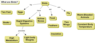 Cmap Cmap Software